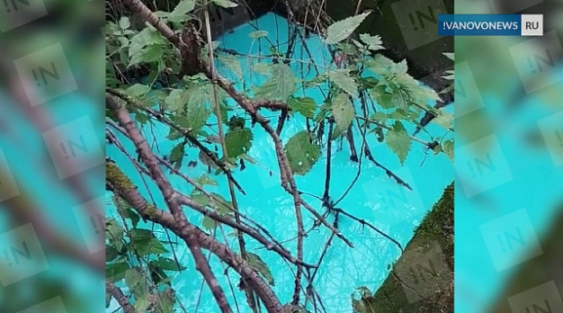Бирюзовая вода в ручье, впадающем в Харинку, оказалась не токсична